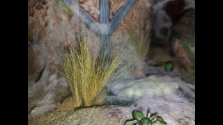 Making Tall Grass Tufts for your Terrain and miniatures for use in EZD6 Pathfinder and DampD [upl. by Ynnhoj479]