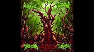 DOENCPFMMM  Impregnated Through Pathogenic Agony  2015  Full Split [upl. by Brig]