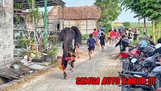 BARONGAN NGAMUK NGEJAR ORANG  Arak Arakan Barongan Blora Reog MARSUDI BUDOYO [upl. by Charlotta761]