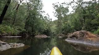 Berowra Calabash 22 Feb24 [upl. by Samson]