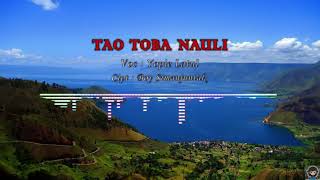 TAO TOBA NAULI  Yopie Latul [upl. by Ahsimin]