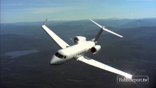 Gulfstream G450 Best of the Best 2012 Business Aircraft Large [upl. by Nea955]