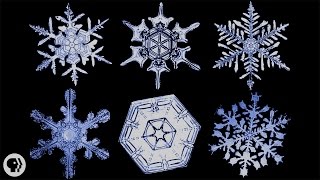 The Science of Snowflakes [upl. by Ahse838]