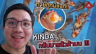 KINDAI กลับมาแล้วครับ [upl. by Prud]