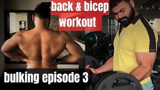 Complete back and bicep workout [upl. by Htebazila320]