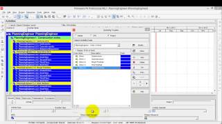 Lesson 6 part 2 primavera activity codes [upl. by Yednil]