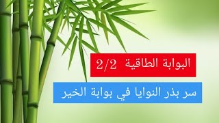 البوابة الطاقية 2  2 سر تجلي النوايا [upl. by Ihteerp548]