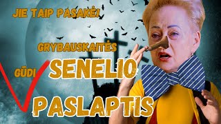 Janutienė ištraukė dar daugiau dokumentų kodėl Grybauskaitė taip įžūliai meluoja [upl. by Ahsekin]