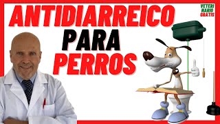 🔵 Antidiarreico PROENTERIC Triplex 🔵 Para Conejos Perros y Gatos con Probióticos para la Diarrea [upl. by Namwob]