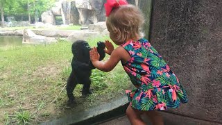 Little Friends Have Adorable Encounters With Animals At The Zoo [upl. by Einaj]