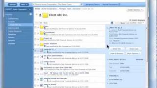 NetDocuments for Small Business  2 minute Overview [upl. by Elinore540]