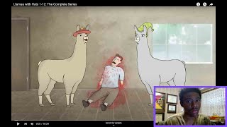 Llamas with Hats 112 The Complete Series  Reaction [upl. by Mukul]