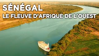 Sénégal le fleuve dAfrique de lOuest  Des Racines et des Ailes  Documentaire complet [upl. by Arihsan42]