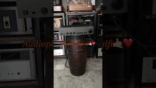 NAD 3020 hifi vintageaudio cds vintage audiophile music audio integratedamplifier dj jbl [upl. by Atteirneh]