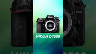 Nikon D7500 Review 📸 ✅️ [upl. by Swanhildas]