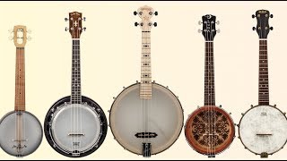 Review Banjo Ukes from Deering Kala Luna Gold Tone and Magic Fluke [upl. by Langille684]