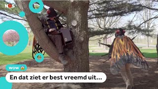 Insectenuitbraak Deze mensen spelen het na [upl. by Tadio387]