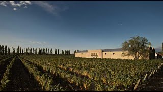 BODEGA CASARENA LUJAN DE CUYO MENDOZA [upl. by Dobb881]