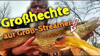 Fliegenfischen auf Hecht  Mit Großstreamer auf Großhecht [upl. by Dowling]