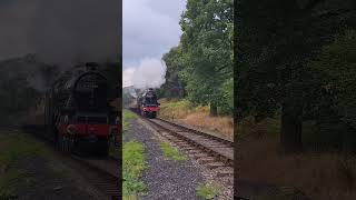 45596 quotBahamasquot at Orchard Crossing at the SVR Autumn Steam Gala [upl. by Youlton78]