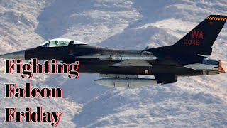 Fighting Falcon Friday [upl. by Georgina]