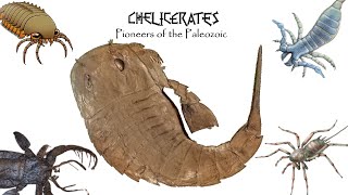 CHELICERATES Pioneers of the Paleozoic [upl. by Senskell]