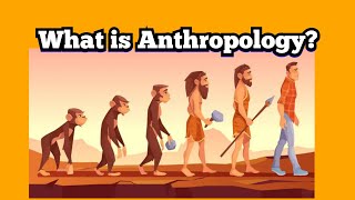 Anthropology  What is Anthropology  Anthropology Definition [upl. by Sherard469]