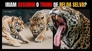 E SE AS ONÇAS FOSSEM DO TAMANHO DOS TIGRES viral onça tigre animal curiosidades [upl. by Lerej678]