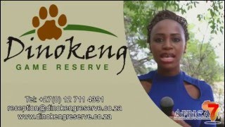 Dinokeng Game Reserve  Self Drive Route  Gauteng  South Africa [upl. by Carberry]