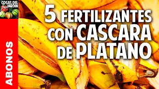 5 fertilizantes con cascara de platano  Potasio  Mas Frutos cosasdeljardin [upl. by Reklaw]