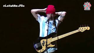 Twenty One Pilots  Stressed Out Live Lollapalooza Argentina 2019 [upl. by Anuat]