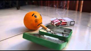 Stop Motion  El Señor Naranja [upl. by Dame]