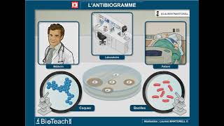 Tout savoir et comprendre sur lantibiogramme → Version longue ← [upl. by Kensell]