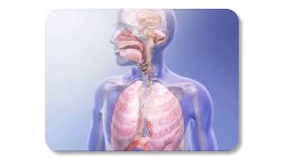 RESPIRATORY SYSTEM EXPLAINED CARBONIC ACID pH OF THE BLOOD EXPLAINED [upl. by Notkcorb]