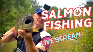 INCREDIBLE HUGE SALMON FISHING 🎣 [upl. by Klos472]