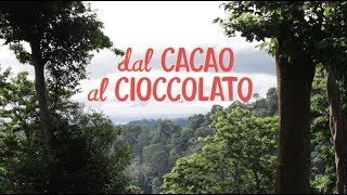 Dal cacao al cioccolato  The Fair Trade Cocoa Journey [upl. by Mckay]