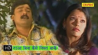 Rauwa Bina  रउवा बिना कैसे जियत हम बानी  Ae Panditain  Gopal Rai  Bhojpuri Hot Songs [upl. by Coco]