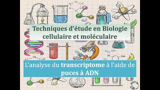 Fiches techniques Lanalyse du transcriptome à laide de puces à ADN [upl. by Ettenal991]