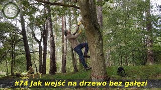 Jaskiniowiec 74 Jak wejść na drzewo bez gałęzi [upl. by Ahsienod132]