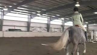 How to Gallop a Horse [upl. by Ulane]