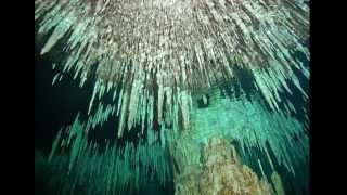 Cenote Dreamgate  Cave diving  Mexico [upl. by Obla32]