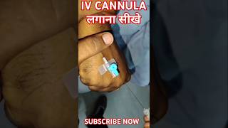 IV CANNULA INSERTION 🩺💉🩺💉🩺💉💉💉💉💉🩺💉cannula youtubeshorts shortshospital viral medicarenurshing [upl. by Pike257]