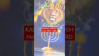 JESUS KADOSH KADOSH ADONAI ELOHIM  HOLY HOLY LORD shorts jesus worship praise kadosh holy [upl. by Nevi]