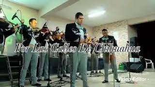 MARIACHI INTERNACIONAL LOS PEREZ POR LAS CALLES DE CHIHUAHUA [upl. by Koball]