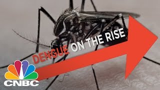 What is Dengue Fever  CNBC [upl. by Nymrak]