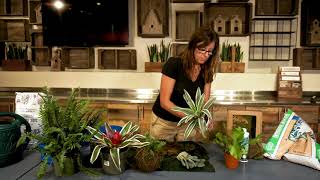 How to Make a Kokedama with Kathleen [upl. by Kussell]