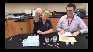 Enzyme lab introduction [upl. by Ennovehs]