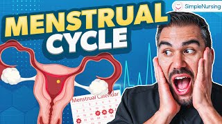 Menstrual Cycle Phases Nursing  Follicular Phase amp Luteal Phase Med Surg [upl. by Dietsche627]