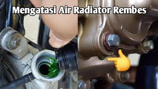 Mengatasi Air Radiator RembesBocor Di Cover Waterpump amp Cara Ganti Air Radiator Satria Fu Injeksi [upl. by Laverne]