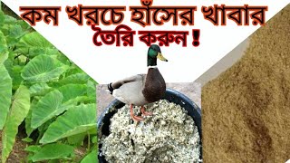 হাঁসের সস্তা খাবার তৈরি করুন  জানুন কীভাবে হাঁসের ঘরোয়া খাবার তৈরি করতে হয়  hasherkhabar [upl. by Suissac]